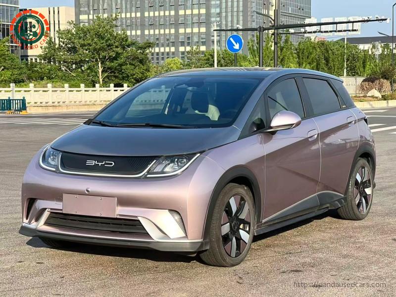BYD BYD Dolphin 2023 Knight Edition