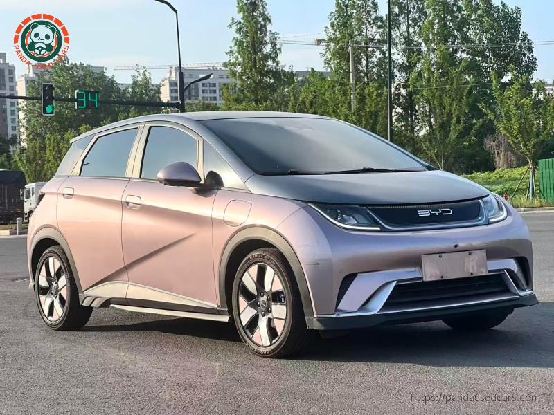 BYD BYD Dolphin 2023 Knight Edition