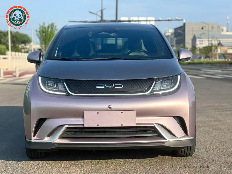 BYD BYD Dolphin 2023 Knight Edition