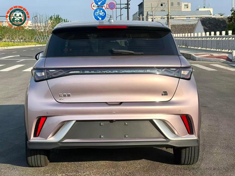 BYD BYD Dolphin 2023 Knight Edition