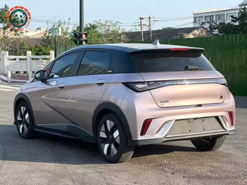 BYD BYD Dolphin 2023 Knight Edition