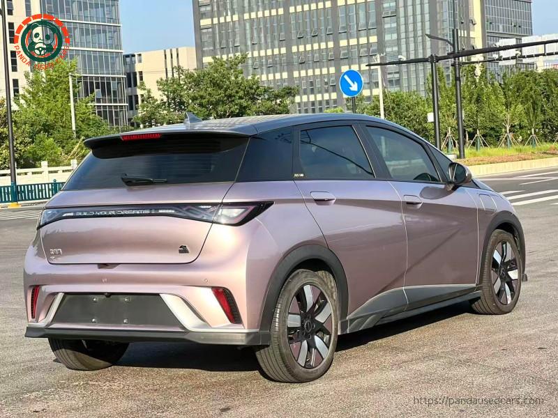 BYD BYD Dolphin 2023 Knight Edition