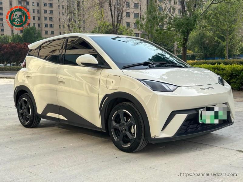 BYD BYD Seagull 2024 Glory Edition 305KM Freedom Edition