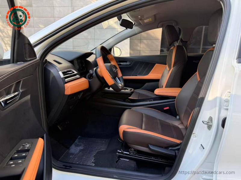 BYD BYD e2 2021 Luxury Edition