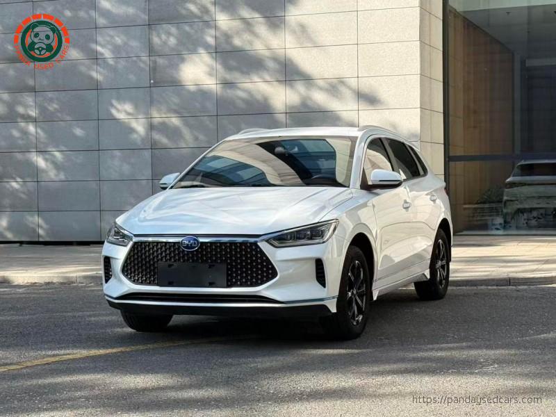 BYD BYD e2 2021 Luxury Edition
