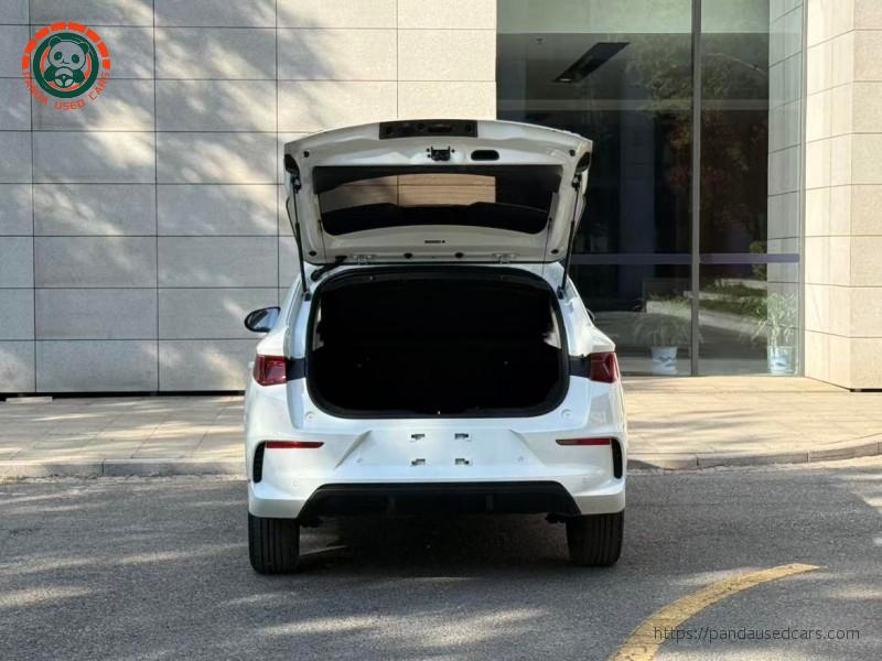 BYD BYD e2 2021 Luxury Edition