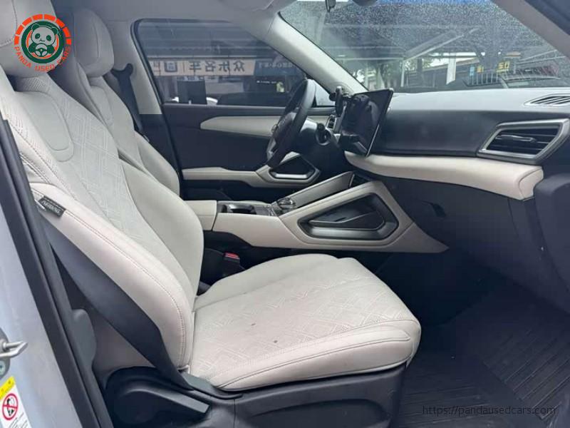 BYD BYD Yuan UP 2024 401KM Leader edition