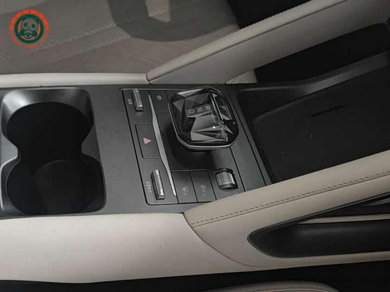 BYD BYD Yuan UP 2024 401KM Leader edition