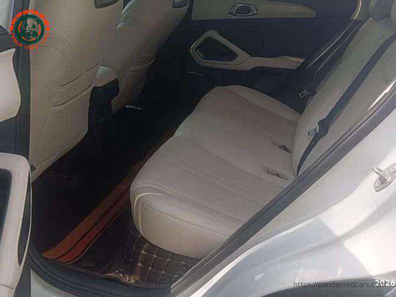 BYD BYD Yuan UP 2024 401KM Vitality Edition
