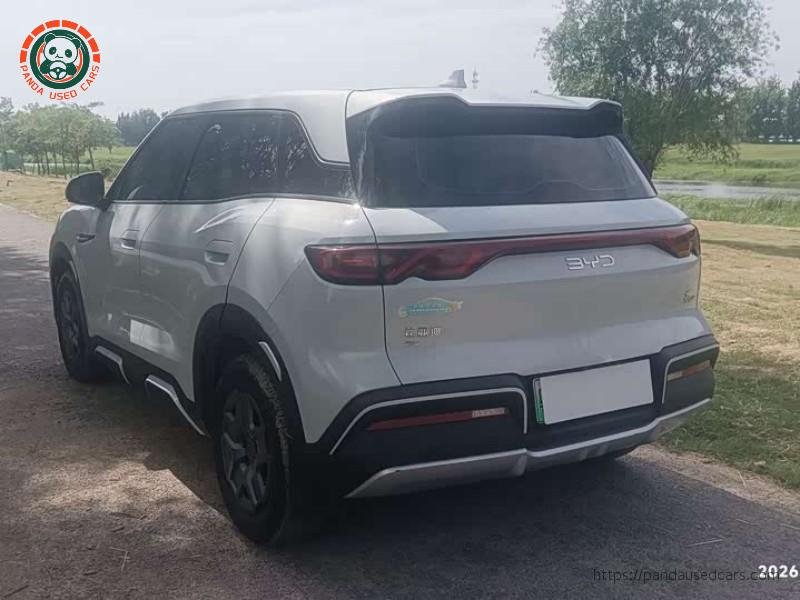 BYD BYD Yuan UP 2024 401KM Vitality Edition