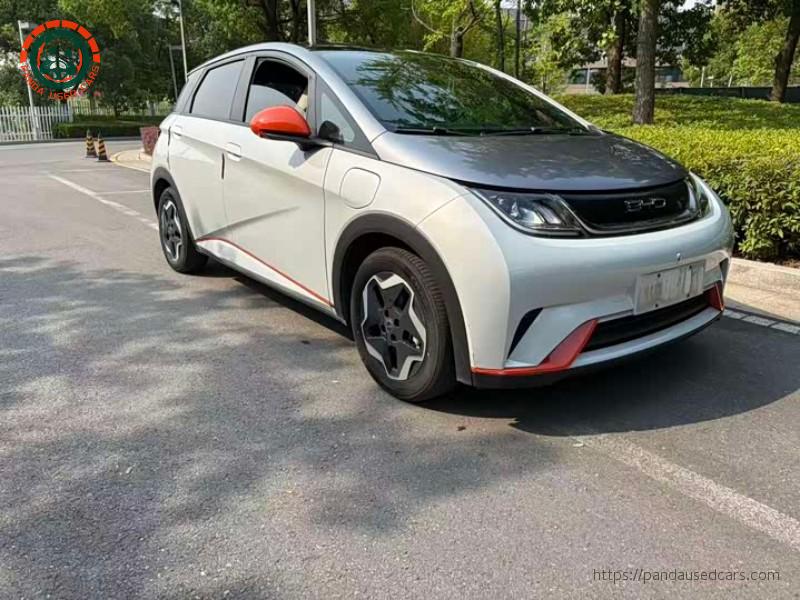 BYD BYD Dolphin 2021 405KM Freedom Edition