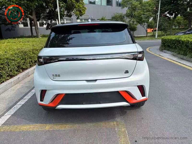 BYD BYD Dolphin 2021 405KM Freedom Edition