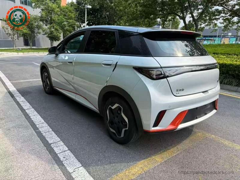 BYD BYD Dolphin 2021 405KM Freedom Edition