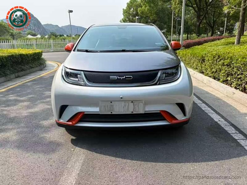 BYD BYD Dolphin 2021 405KM Freedom Edition