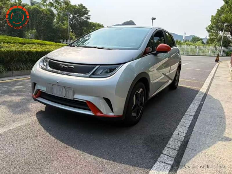 BYD BYD Dolphin 2021 405KM Freedom Edition