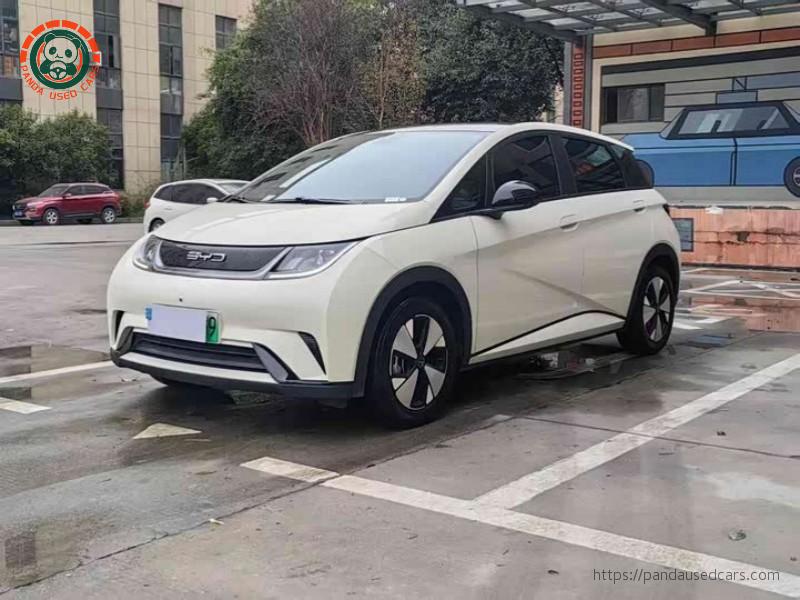 BYD BYD Dolphin 2023 420KM Fashion Edition