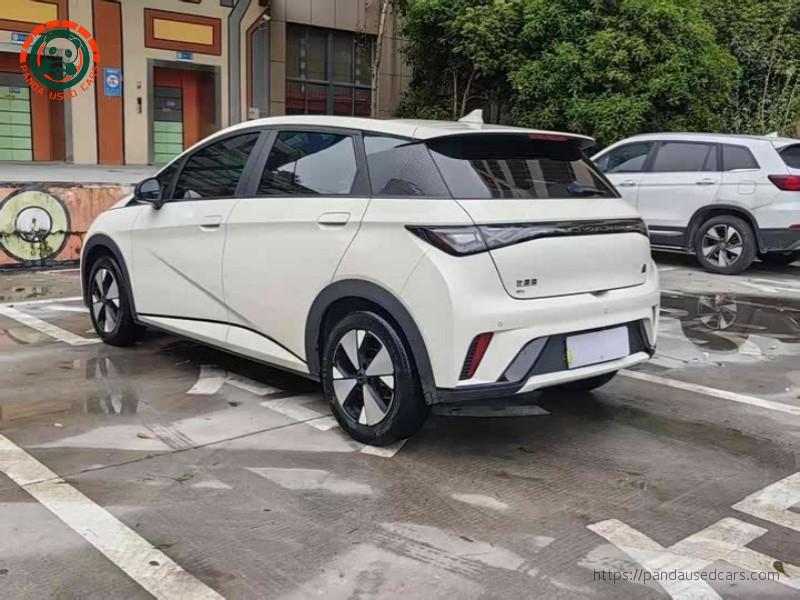 BYD BYD Dolphin 2023 420KM Fashion Edition