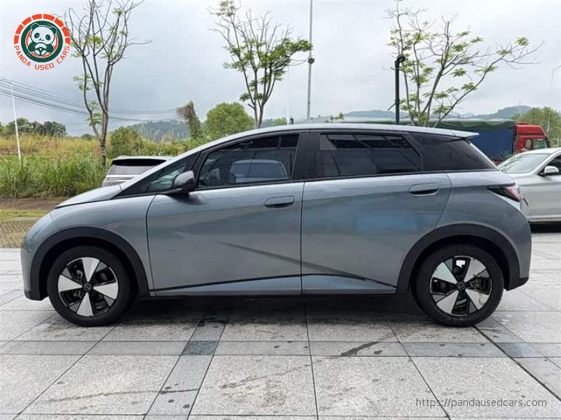 BYD BYD Dolphin 2023 420KM Fashion Edition