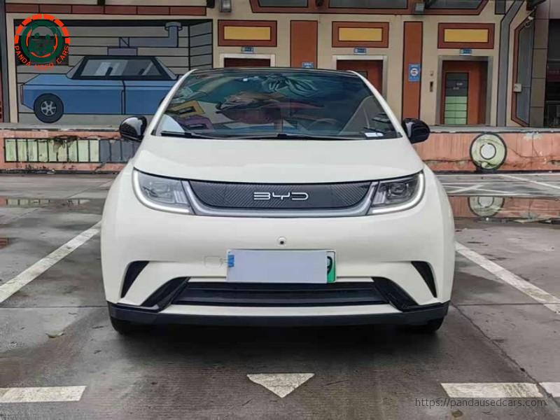 BYD BYD Dolphin 2023 420KM Fashion Edition