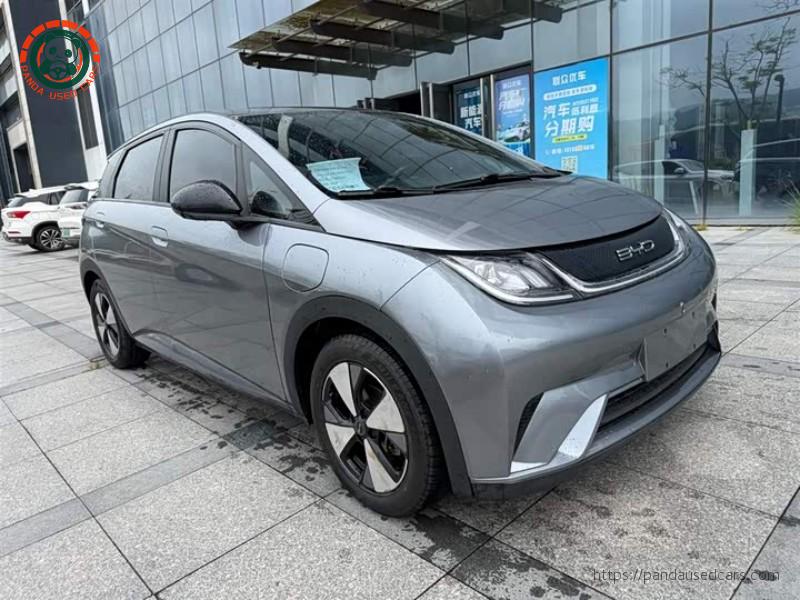 BYD BYD Dolphin 2023 420KM Fashion Edition