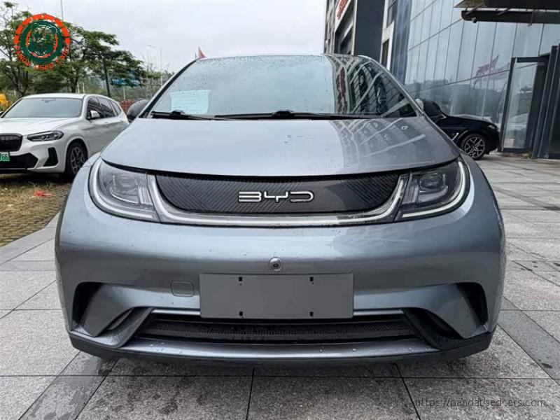 BYD BYD Dolphin 2023 420KM Fashion Edition