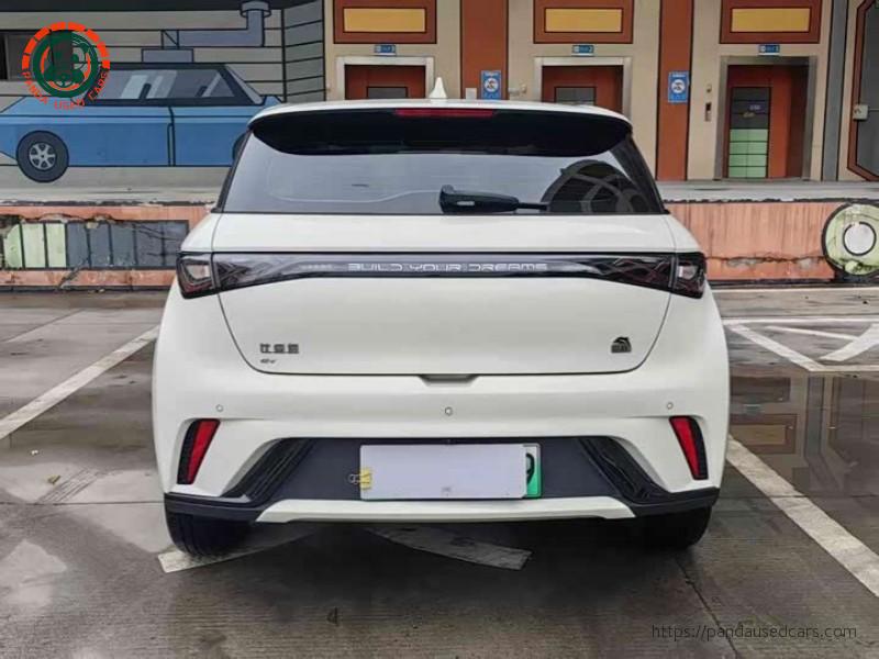 BYD BYD Dolphin 2023 420KM Fashion Edition