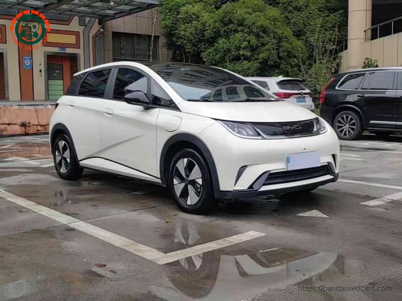 BYD BYD Dolphin 2023 420KM Fashion Edition