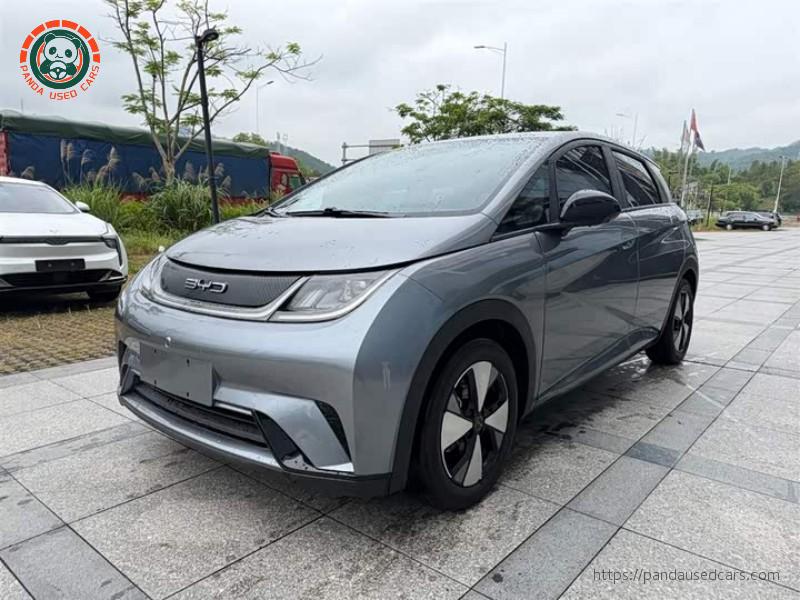 BYD BYD Dolphin 2023 420KM Fashion Edition