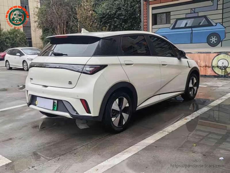 BYD BYD Dolphin 2023 420KM Fashion Edition