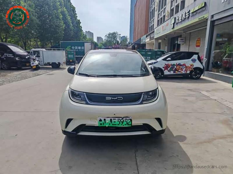 BYD BYD Dolphin 2023 420KM Freedom Edition