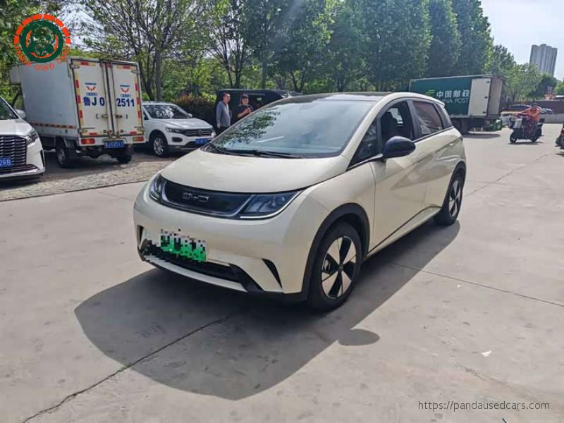 BYD BYD Dolphin 2023 420KM Freedom Edition