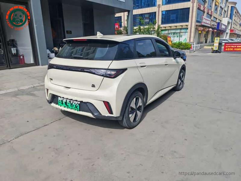 BYD BYD Dolphin 2023 420KM Freedom Edition