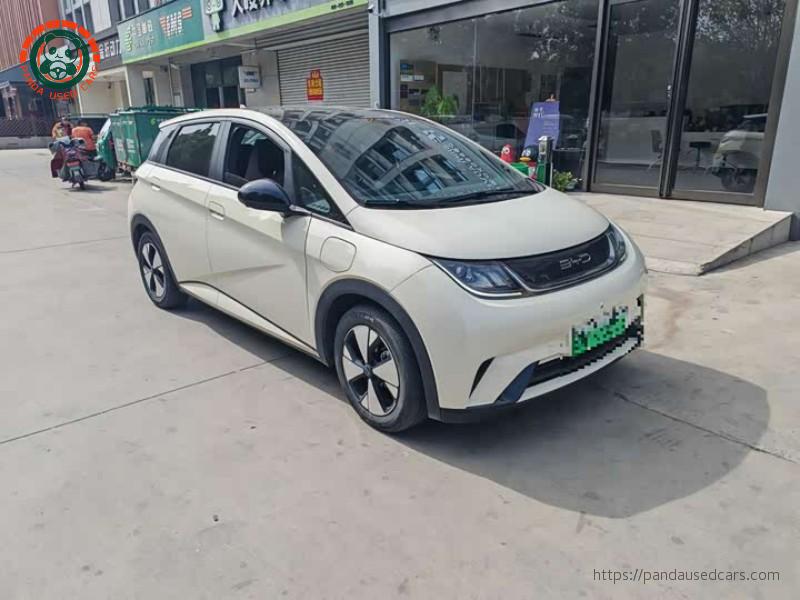 BYD BYD Dolphin 2023 420KM Freedom Edition