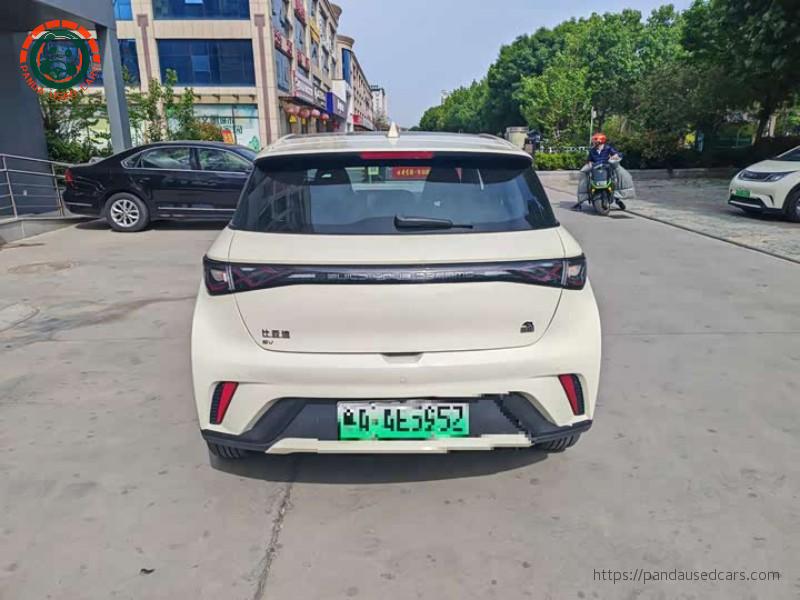 BYD BYD Dolphin 2023 420KM Freedom Edition
