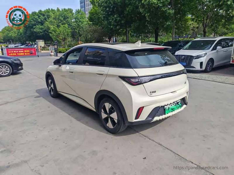 BYD BYD Dolphin 2023 420KM Freedom Edition