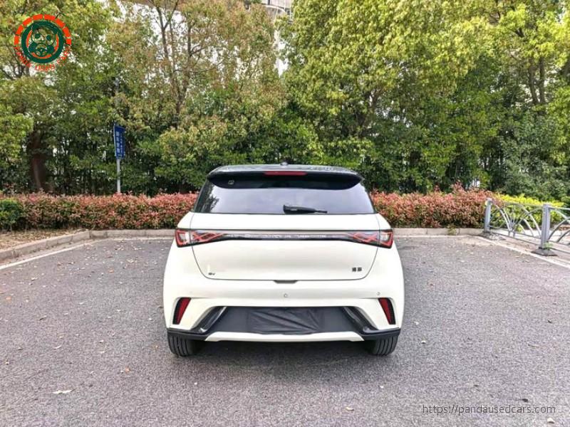 BYD BYD Dolphin 2025 420KM Fashion Edition