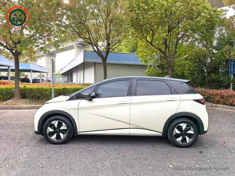 BYD BYD Dolphin 2025 420KM Fashion Edition