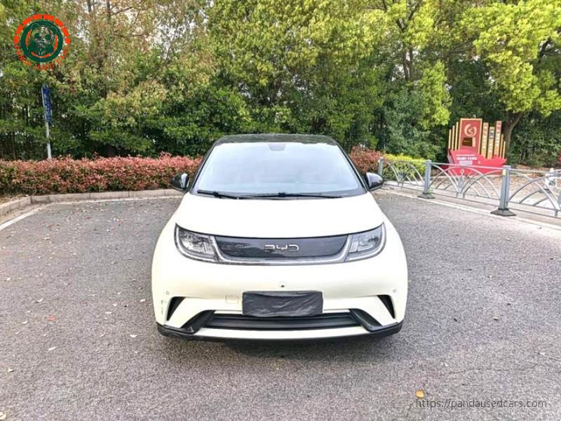 BYD BYD Dolphin 2025 420KM Fashion Edition