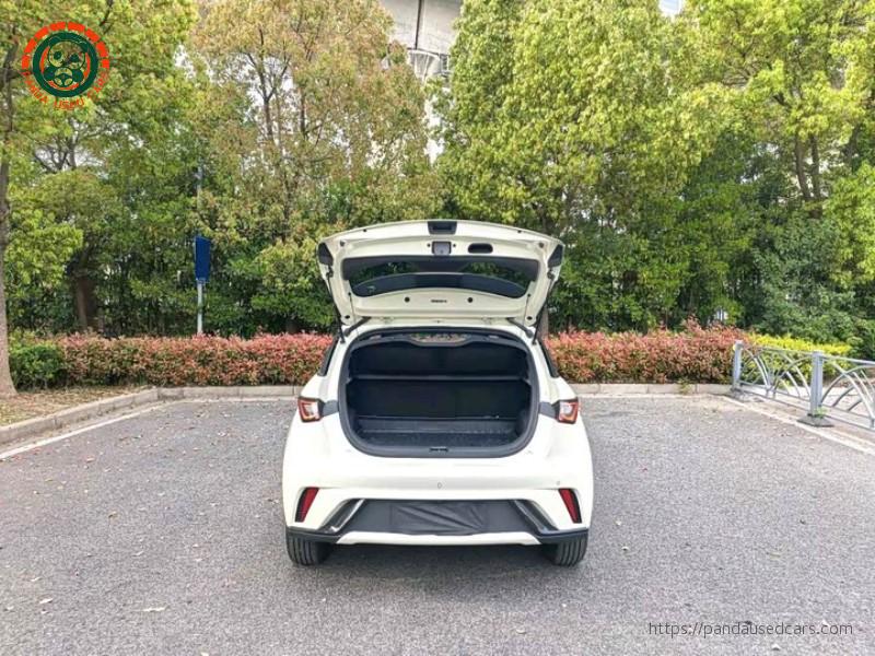 BYD BYD Dolphin 2025 420KM Fashion Edition