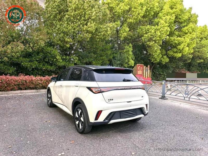 BYD BYD Dolphin 2025 420KM Fashion Edition