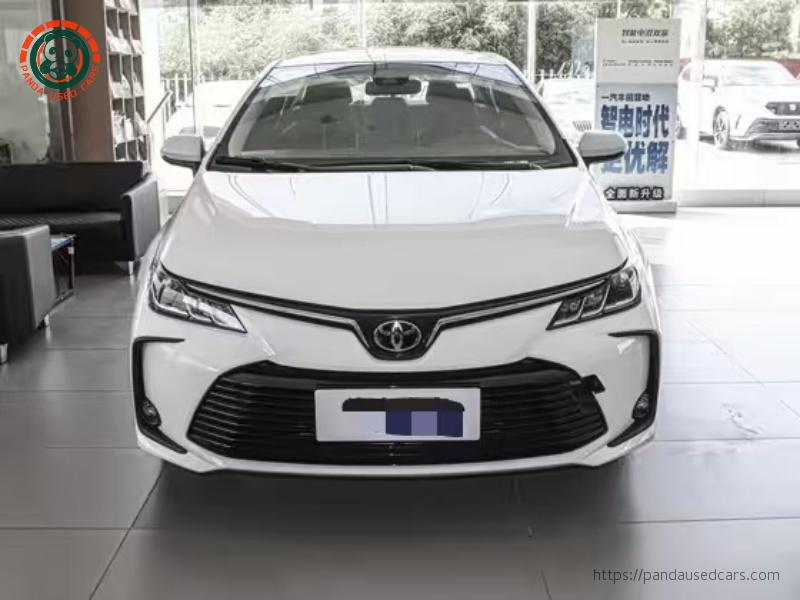 缩略图 2