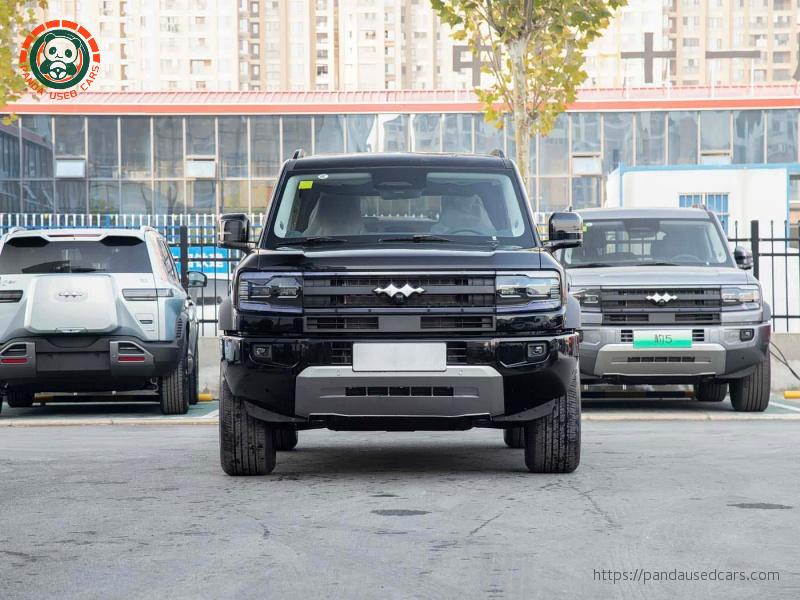 2025YM 210KM Tianshen Ultra Edition