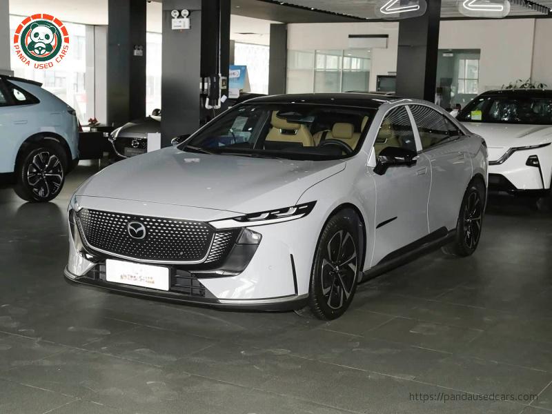 2026 Model Pure Electric 600 Pro