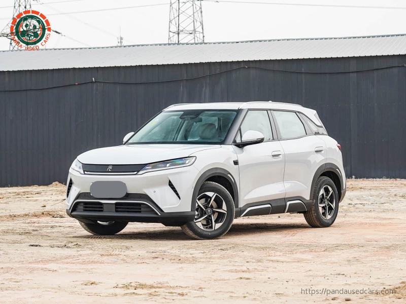 Yuan UP 2025 Smart Driving Edition 401KM Super Model