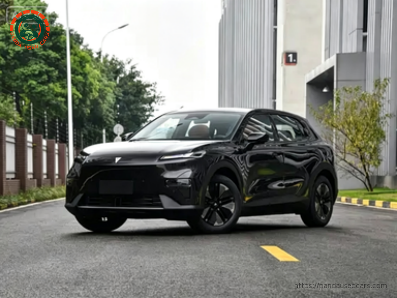 2024 Model 200Max Extended Range Voyage Edition