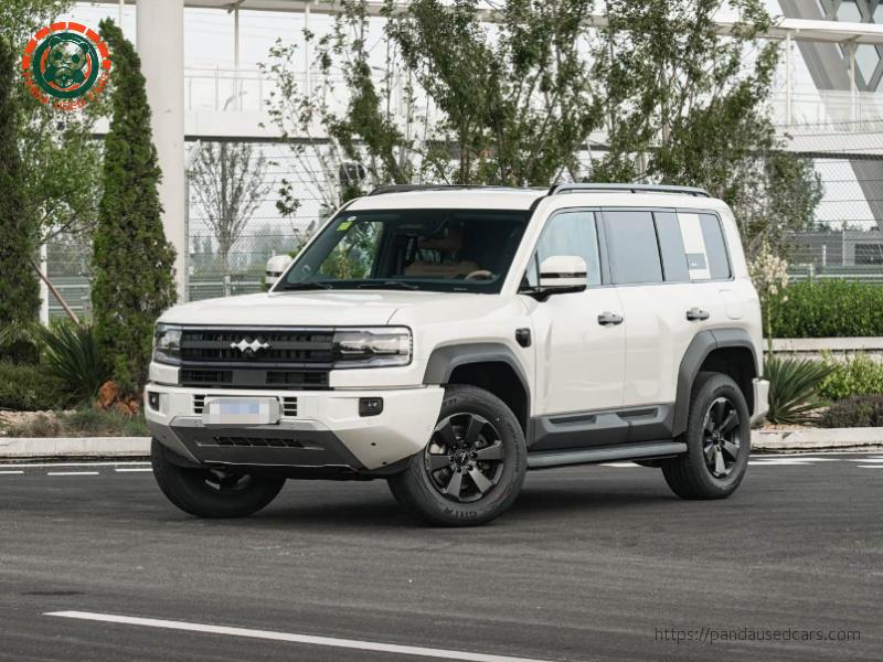 2025 Leopard 5 210KM Tianshen Ultra Edition