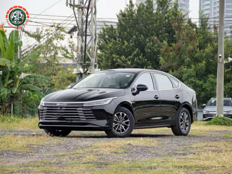2024 DM-i 55KM Deluxe Honor Edition