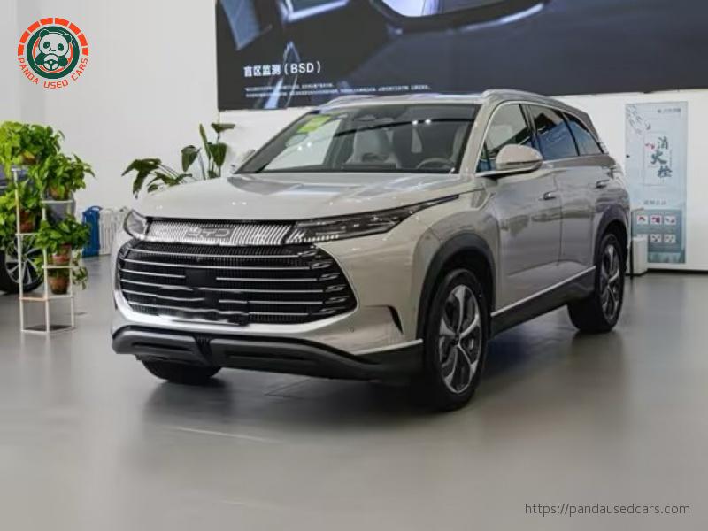 2024 Honor Edition DM-i 100KM Premium Model