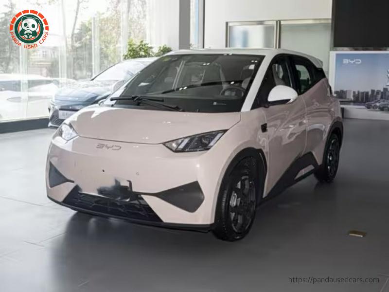 2025 305km Intelligent Driving Free Trim
