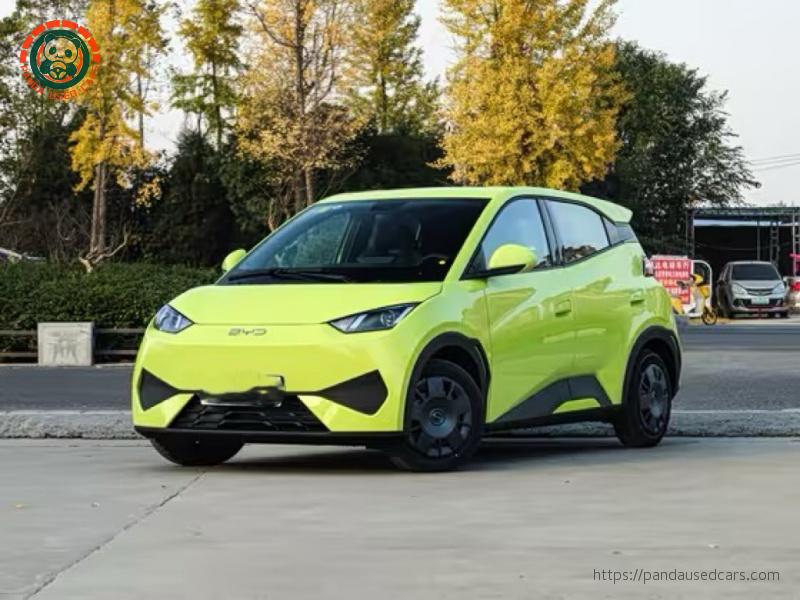 2025 305km Intelligent Driving Vitality Trim